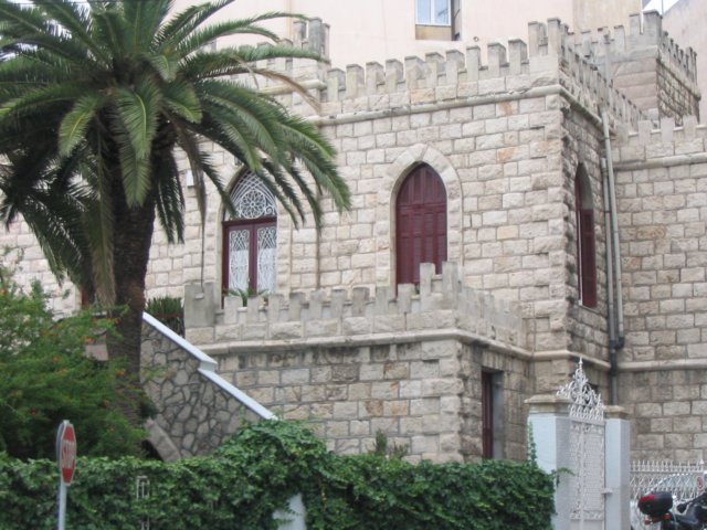 Photograph