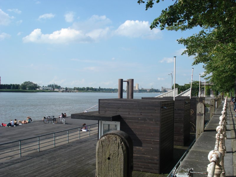 dsc05010.jpg
