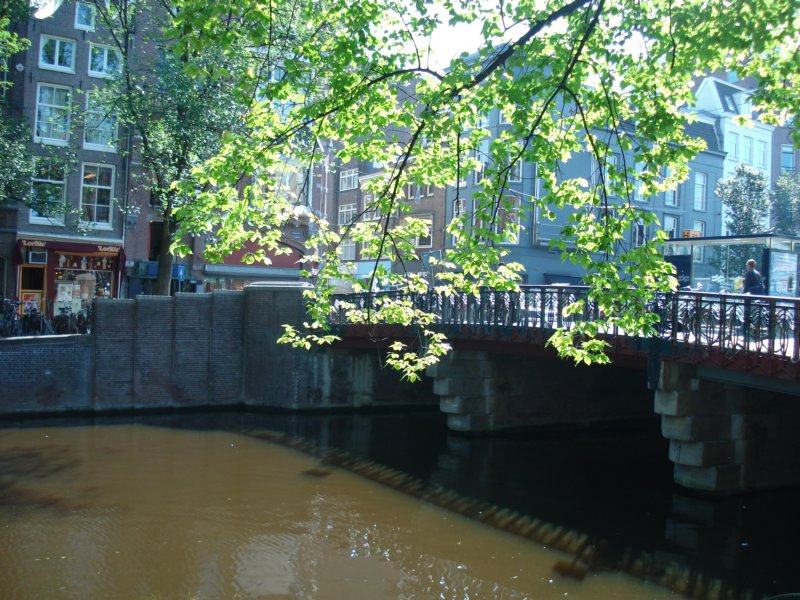 dsc05043.jpg