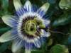 dsc05090_small.jpg