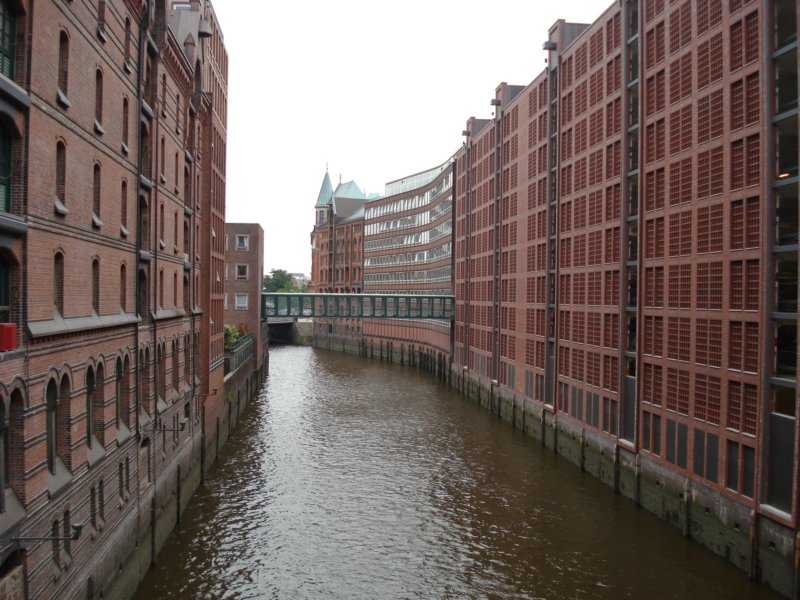 dsc05156.jpg