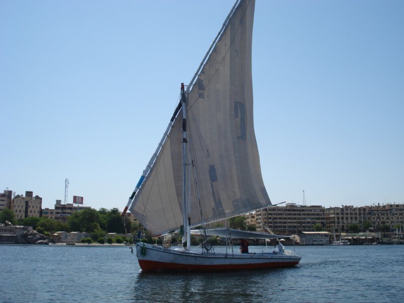 dsc05444.jpg