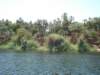 dsc05451_small.jpg