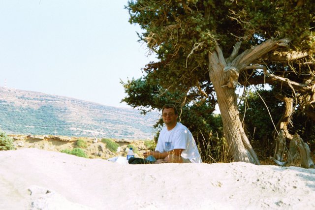 Photograph