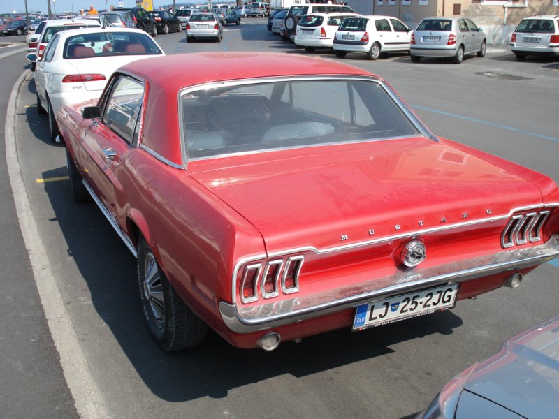 Photograph