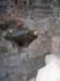 _0630_small.jpg