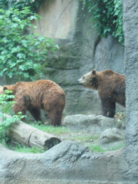 _0879.jpg
