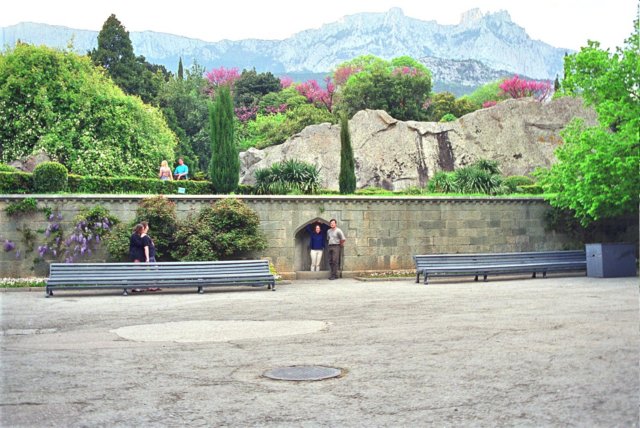 Photograph