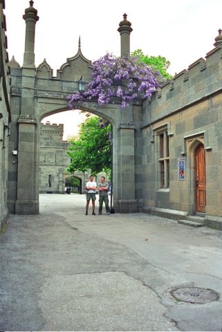 Photograph
