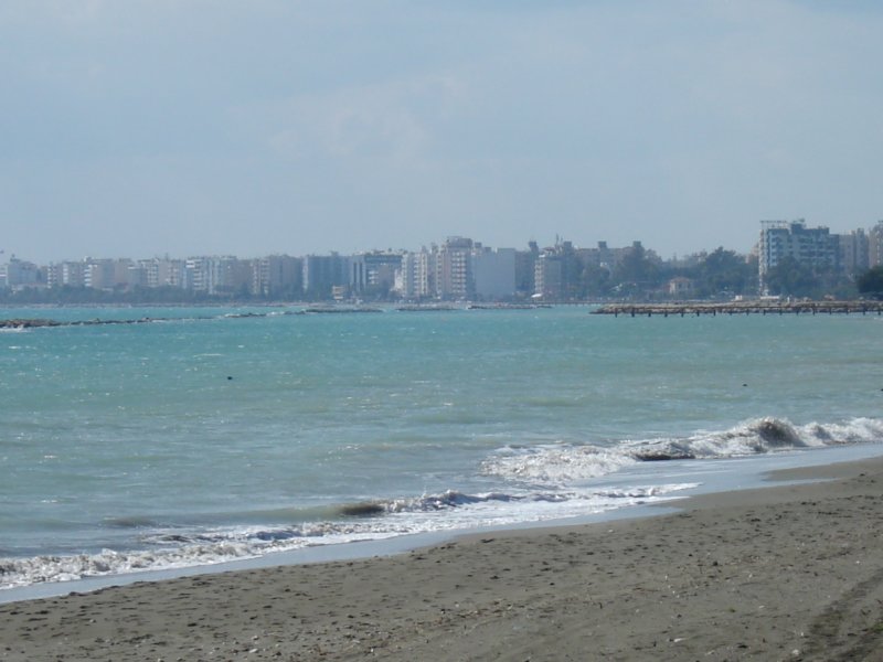 dsc03372.jpg