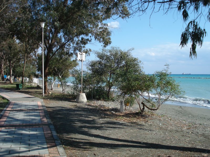dsc03374.jpg
