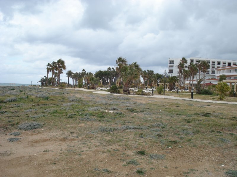 dsc03470.jpg