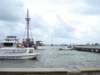 dsc03484_small.jpg