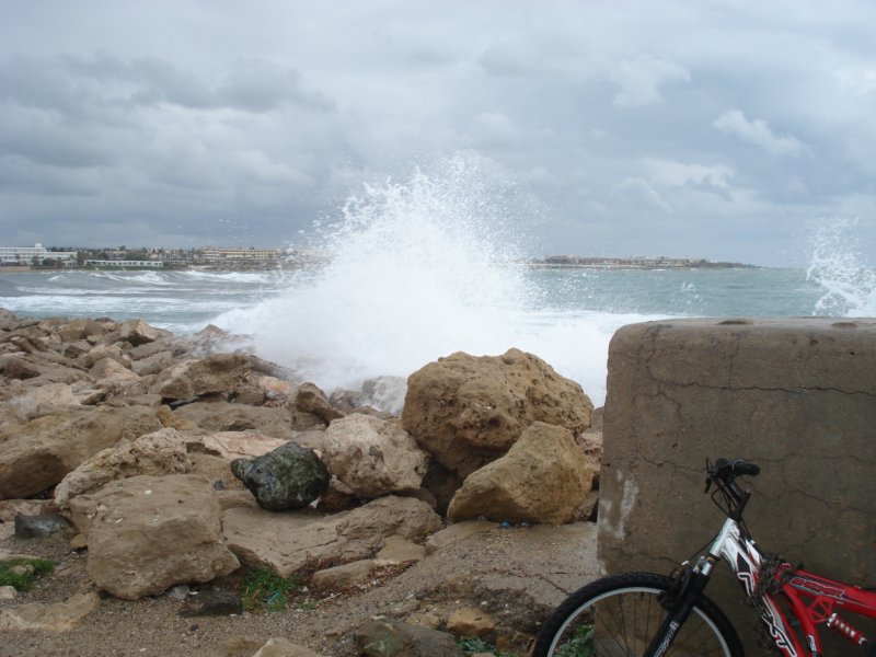 dsc03504.jpg
