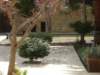 dsc03583_small.jpg