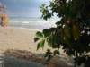 dsc03584_small.jpg