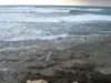 dsc03597_small.jpg