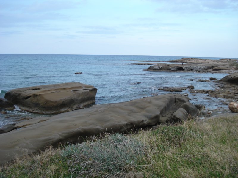 dsc03835.jpg